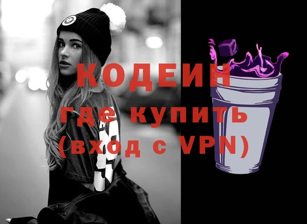 хмурый Абаза