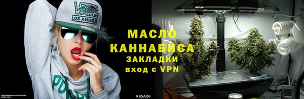 хмурый Абаза