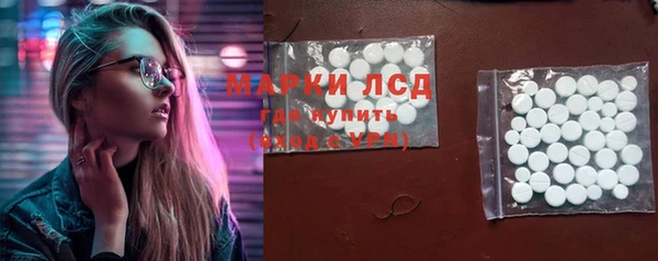 прущие грибы Абинск
