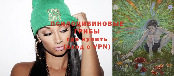 прущие грибы Абинск