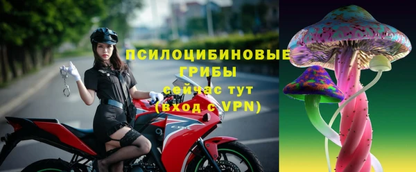 хмурый Абаза
